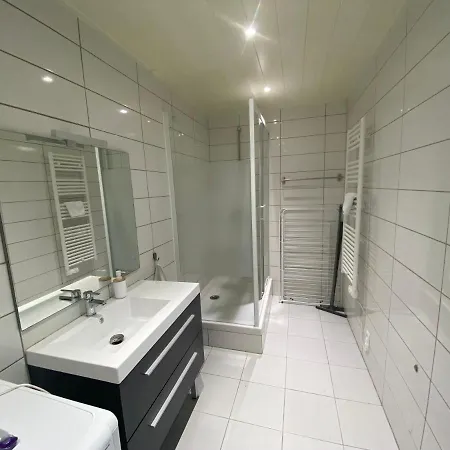 Ch3-1 - Les Cosy De - La Passerelle De Charles 3 - 4* Nancy